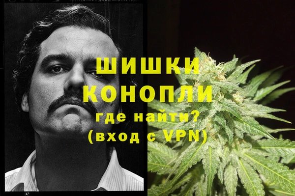 метадон Заполярный
